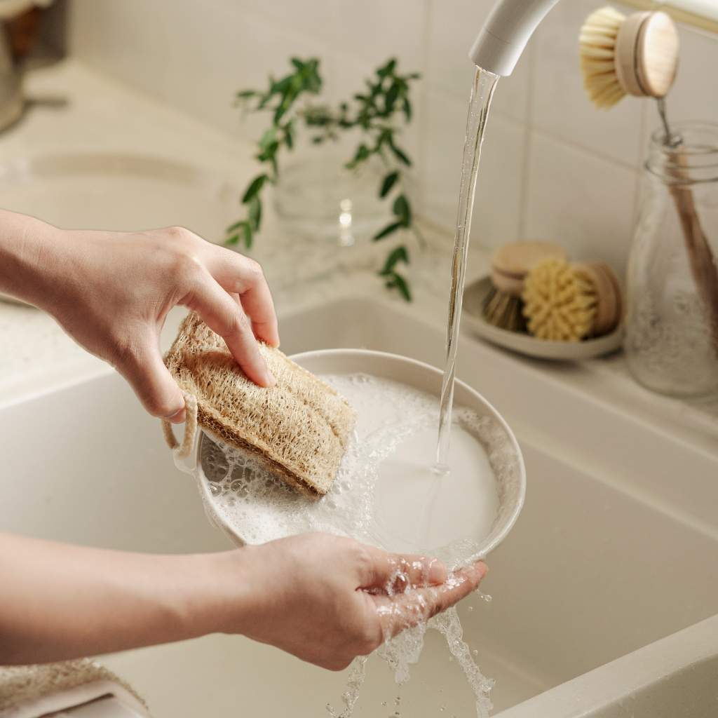 Bærekraftig Oppvaskbørste-sett (4-delt) med Loofah-svamp-4
